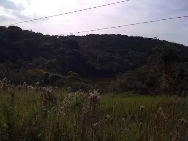 Terreno / Lote para Venda em São Paulo/SP Colônia Zona Sul