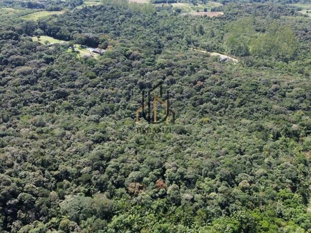 Terreno / Lote para Venda em São Paulo/SP Colônia Zona Sul