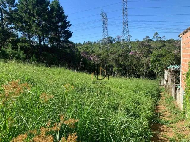 Terreno / Lote para Venda em São Paulo/SP Colônia