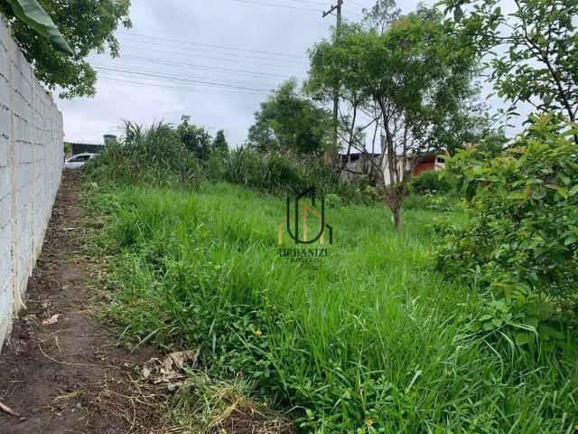 Terreno / Lote para Venda em São Paulo/SP Colônia