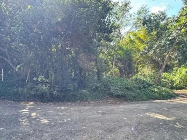 Terreno / Lote para Venda em São Paulo/SP Copacabana