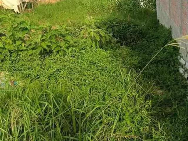Terreno / Lote para Venda em São Paulo/SP Eldorado