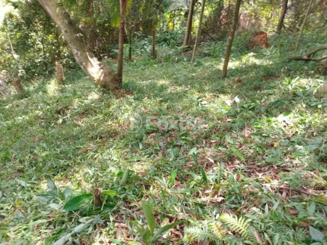 Terreno / Lote para Venda em São Paulo/SP Fazenda Morumbi