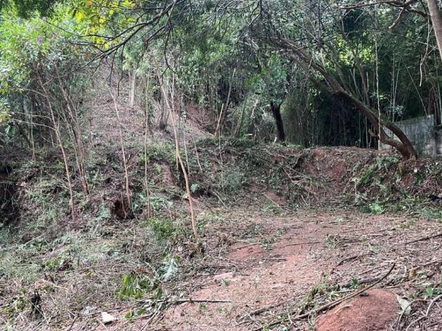 Terreno / Lote para Venda em São Paulo/SP Fazenda Morumbi 1 Quartos