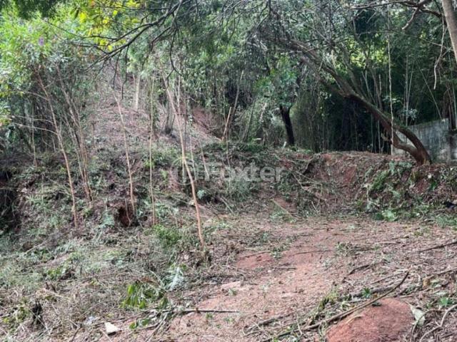 Terreno / Lote para Venda em São Paulo/SP Fazenda Morumbi