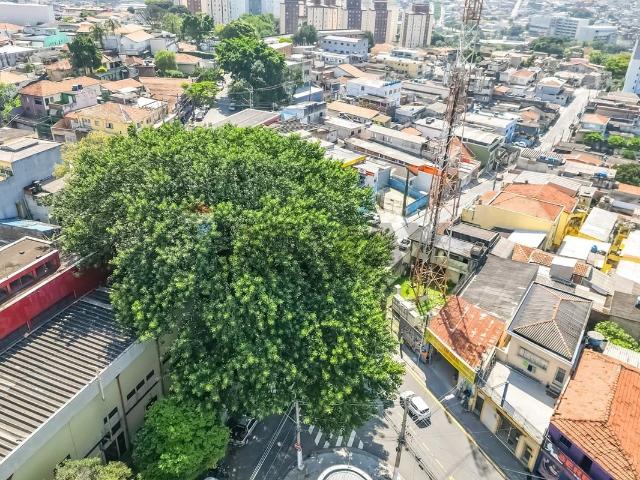Terreno / Lote para Venda em São Paulo/SP Freguesia do Ó