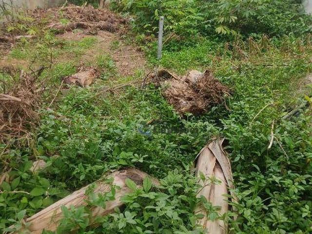 Terreno / Lote para Venda em São Paulo/SP Freguesia do Ó