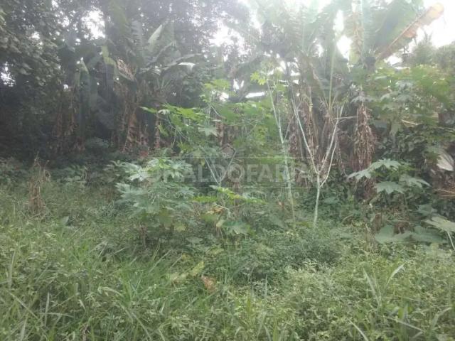 Terreno / Lote para Venda em São Paulo/SP Grajaú
