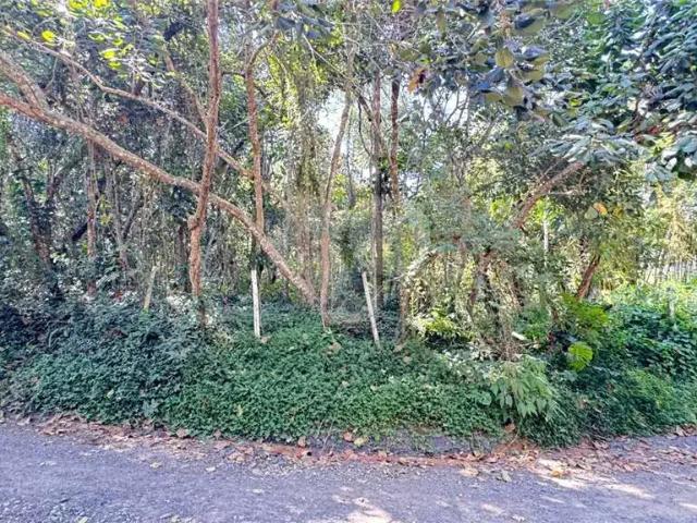 Terreno / Lote para Venda em São Paulo/SP Guarapiranga