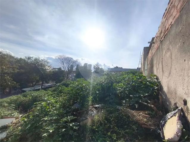 Terreno / Lote para Venda em São Paulo/SP Horto