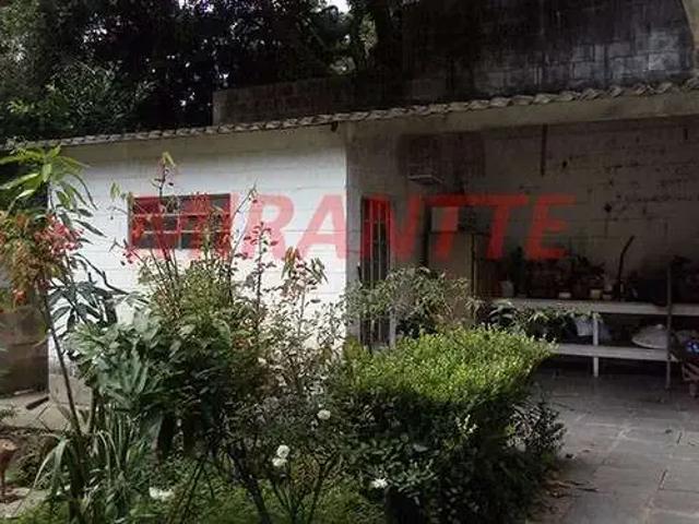 Terreno / Lote para Venda em São Paulo/SP Horto Florestal 4 Quartos