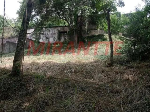 Terreno / Lote para Venda em São Paulo/SP Horto Florestal