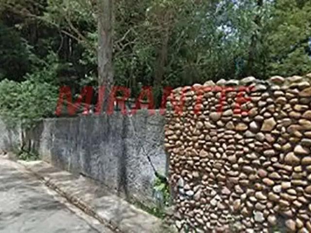 Terreno / Lote para Venda em São Paulo/SP Horto Florestal