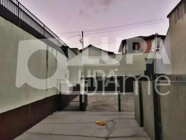 Terreno / Lote para Venda em São Paulo/SP Horto Florestal
