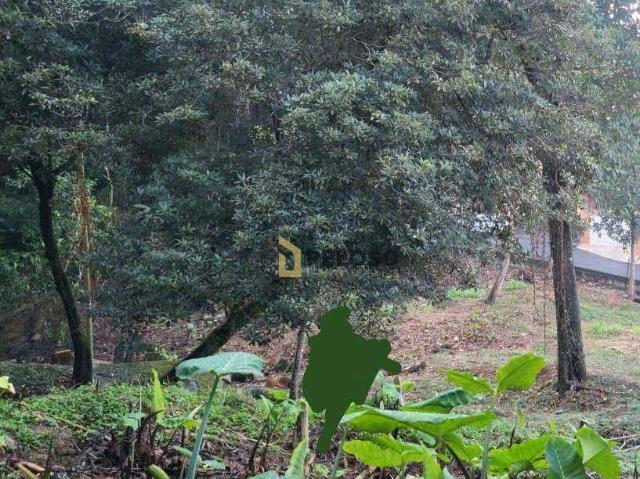 Terreno / Lote para Venda em São Paulo/SP Horto Florestal