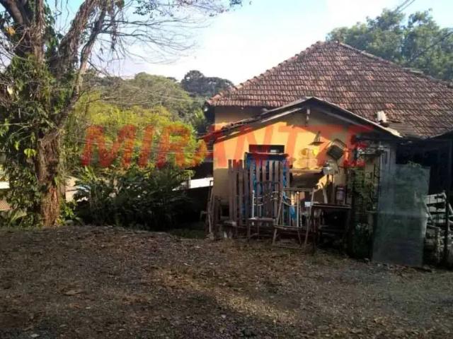 Terreno / Lote para Venda em São Paulo/SP Horto Florestal