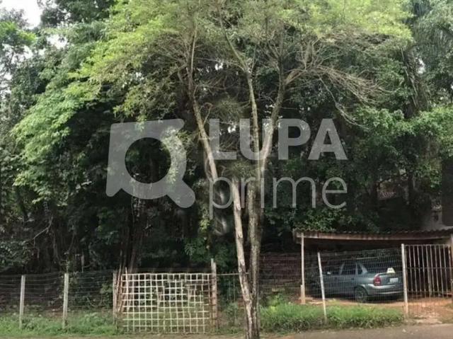 Terreno / Lote para Venda em São Paulo/SP Horto Florestal