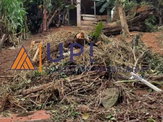 Terreno / Lote para Venda em São Paulo/SP Horto Florestal
