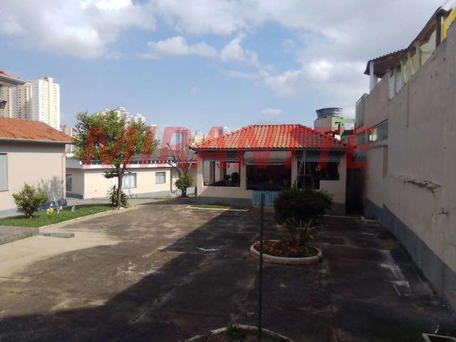 Terreno / Lote para Venda em São Paulo/SP Horto Florestal