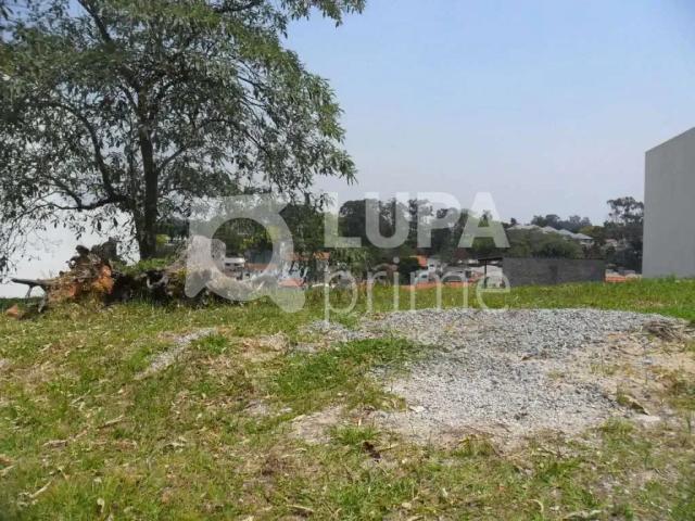 Terreno / Lote para Venda em São Paulo/SP Horto Florestal