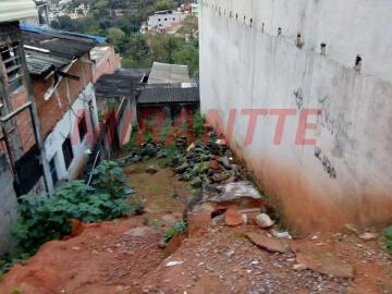 Terreno / Lote para Venda em São Paulo/SP Horto Florestal