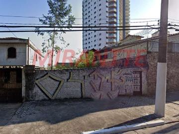 Terreno / Lote para Venda em São Paulo/SP Horto Florestal