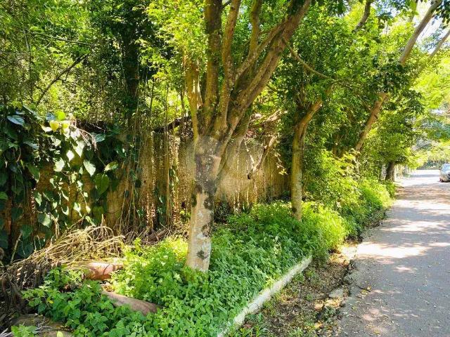 Terreno / Lote para Venda em São Paulo/SP Interlagos