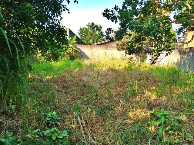 Terreno / Lote para Venda em São Paulo/SP Interlagos