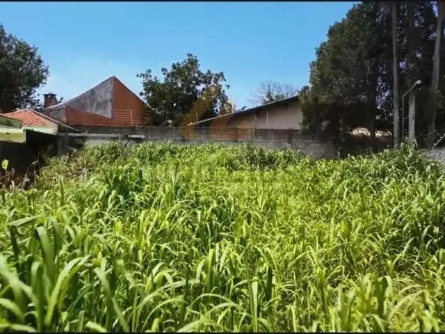 Terreno / Lote para Venda em São Paulo/SP Interlagos