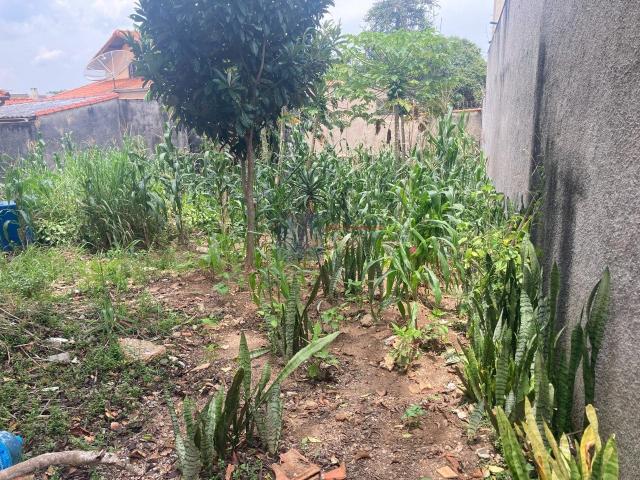 Terreno / Lote para Venda em São Paulo/SP Interlagos