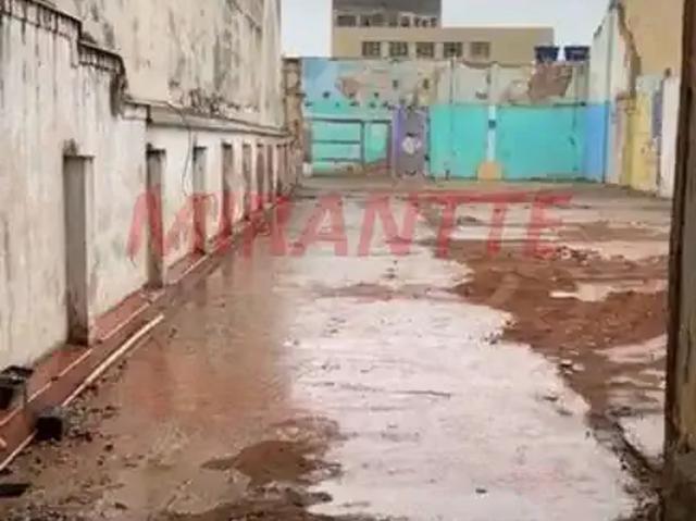 Terreno / Lote para Venda em São Paulo/SP Ipiranga