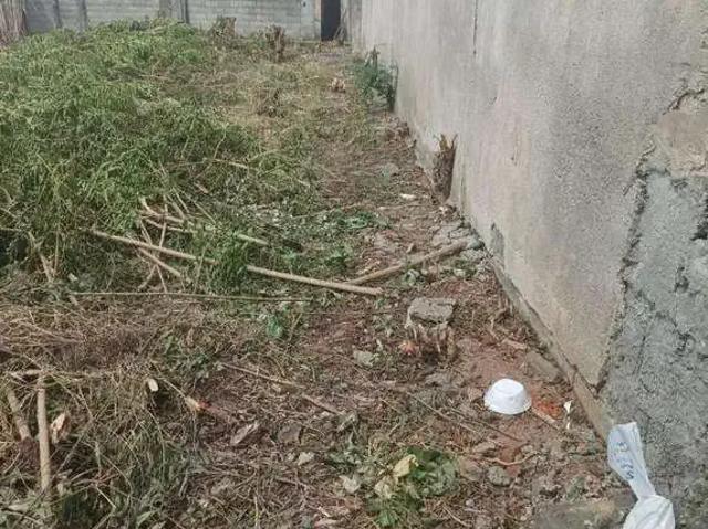 Terreno / Lote para Venda em São Paulo/SP Itaim Paulista