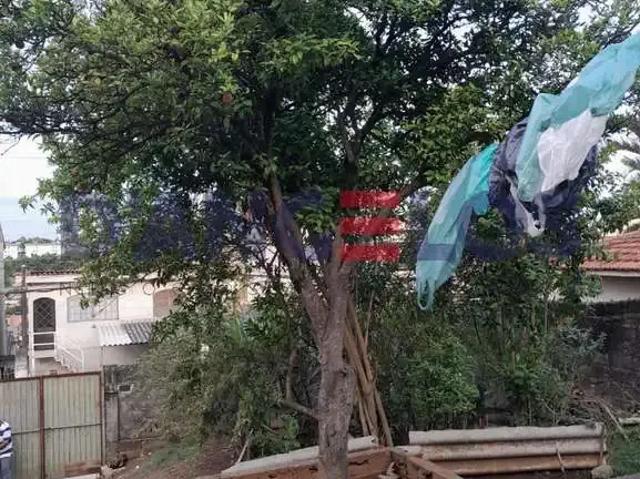 Terreno / Lote para Venda em São Paulo/SP Itaim Paulista
