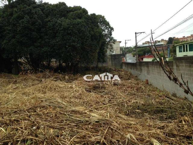 Terreno / Lote para Venda em São Paulo/SP Itaquera