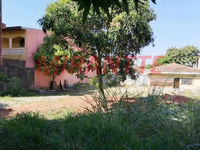 Terreno / Lote para Venda em São Paulo/SP Jaçanã
