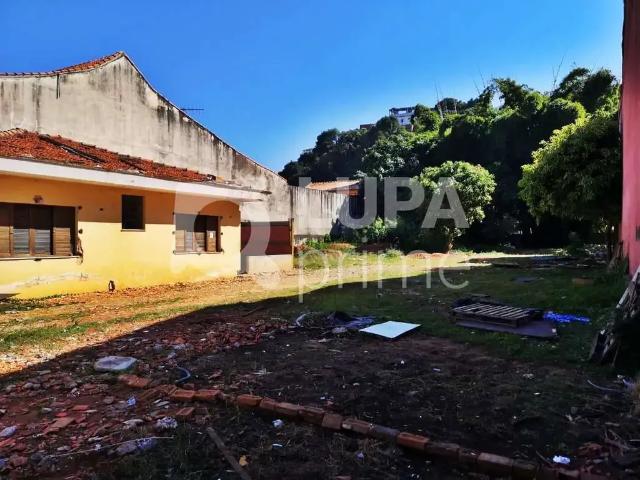 Terreno / Lote para Venda em São Paulo/SP Jaçanã