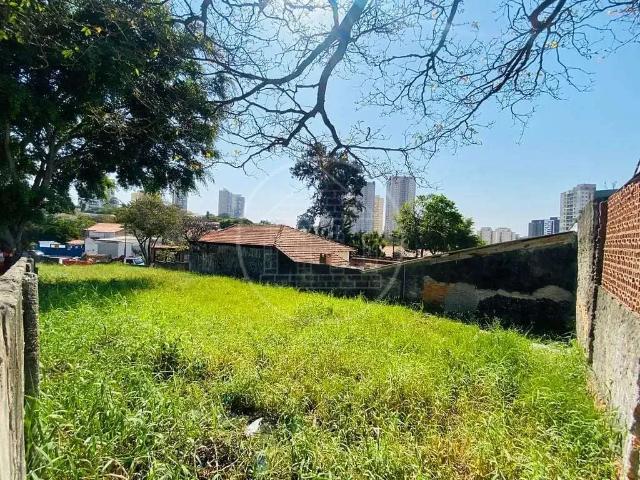 Terreno / Lote para Venda em São Paulo/SP Jardim Consórcio