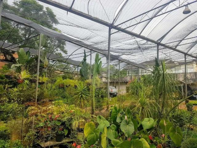 Terreno / Lote para Venda em São Paulo/SP Jardim Cordeiro