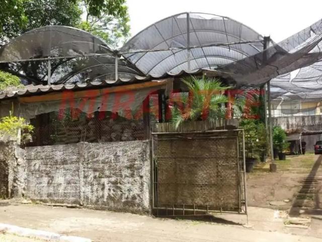 Terreno / Lote para Venda em São Paulo/SP Jardim Cordeiro