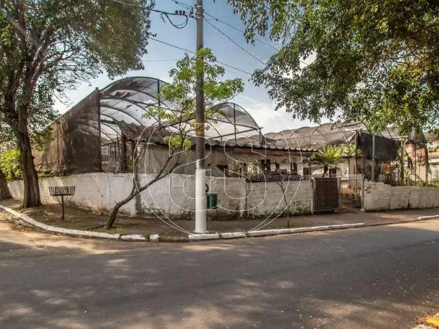 Terreno / Lote para Venda em São Paulo/SP Jardim Cordeiro