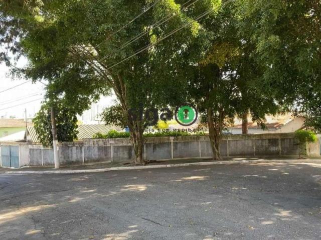 Terreno / Lote para Venda em São Paulo/SP Jardim Catanduva