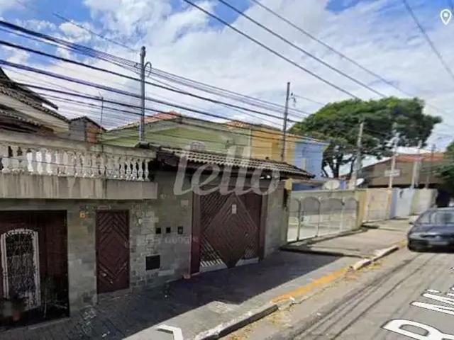 Terreno / Lote para Venda em São Paulo/SP Jardim Catarina