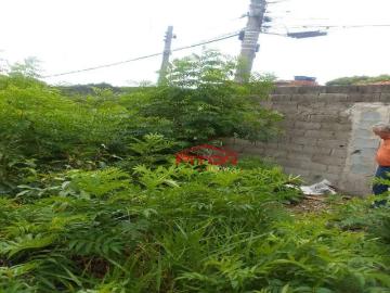 Terreno / Lote para Venda em São Paulo/SP Jardim Camargo Novo