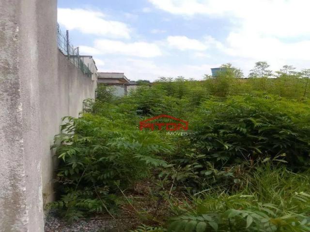 Terreno / Lote para Venda em São Paulo/SP Jardim Camargo Novo