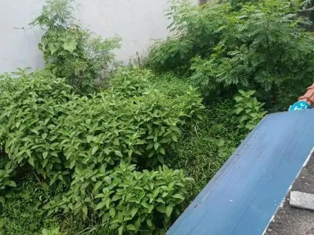 Terreno / Lote para Venda em São Paulo/SP Jardim Camargo Novo