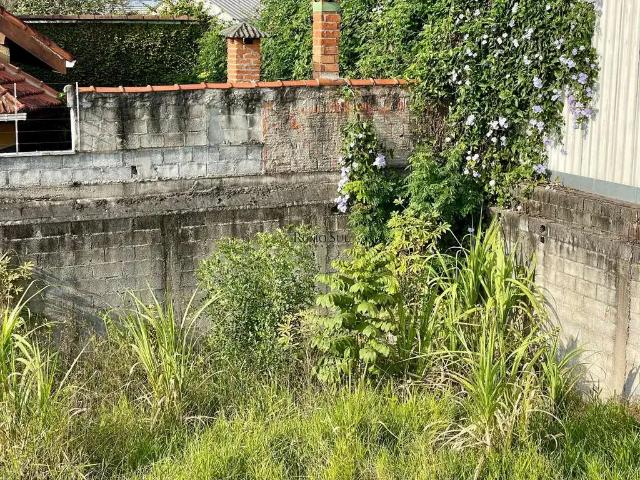 Terreno / Lote para Venda em São Paulo/SP Jardim Campo Grande