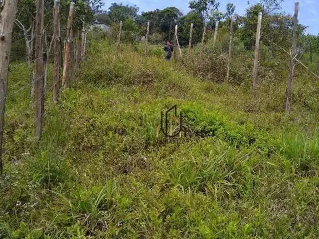 Terreno / Lote para Venda em São Paulo/SP Jardim Casa Grande