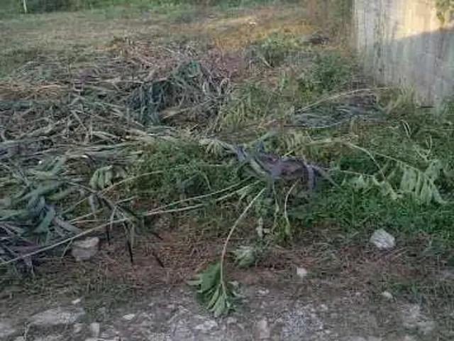 Terreno / Lote para Venda em São Paulo/SP Jardim Casa Grande