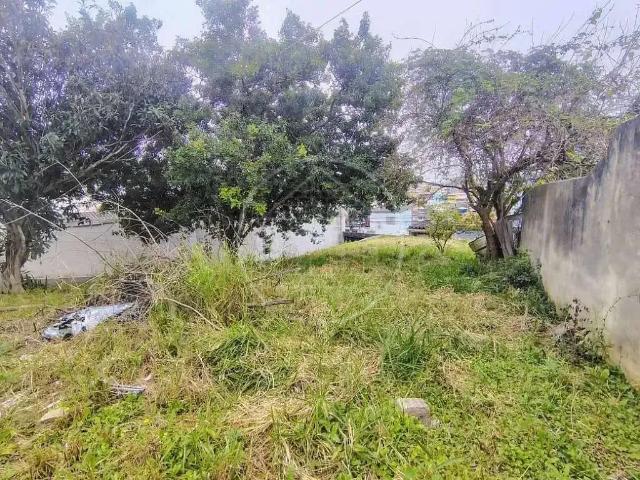Terreno / Lote para Venda em São Paulo/SP Jardim Castro Alves