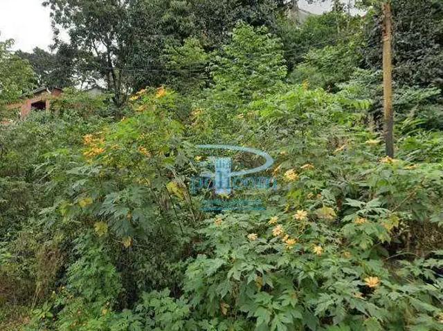 Terreno / Lote para Venda em São Paulo/SP Jardim Celeste